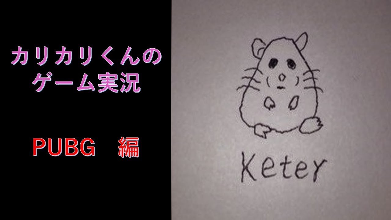 【PUBG 実況】やる🐹【PUBG ライブ】【PLAYERUNKNOWN'S BATTLEGROUNDS】