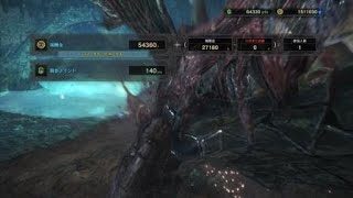 モンスターハンター：ワールド_ハザク突っついてみた