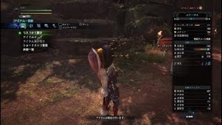 モンスターハンター：ワールド_20180429184131