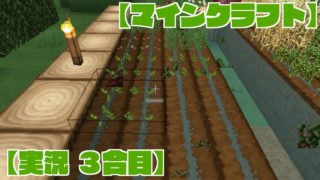 【PC】マインクラフト【3合目】