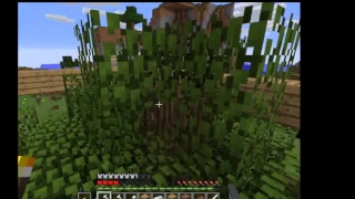 アクア師匠のマインクラフトPC