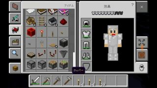 マインクラフトで穴ほりそうちを作って、ウサギをつかまえた。