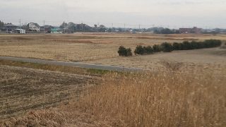 ゆる～りPlayの鬼さん逝く・マインクラフト