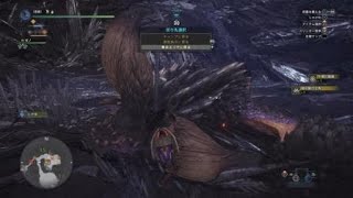 いつきが行く！モンスターハンターワールド