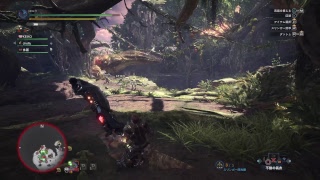 [モンスターハンターワールド]　今日はランク上げと珠集め！！　どなたでも参加どうぞ～！！　概要欄も見てください！！