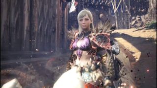 モンスターハンターワールド 卵好きになろう　2018 04 04 23 25 32 884