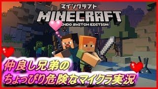 【Minecraft】視聴者と楽しくマイクラ実況～初心者みんなで力合わせて生き抜こ～う♪【マインクラフト】＃7