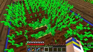 マインクラフトプレイ動画４