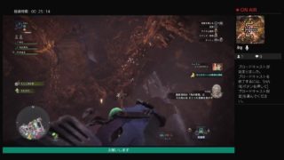 野良でマム·タロト頑張る回！！！モンスターハンターワールド［MHW］