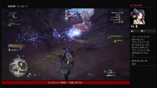 のんびり調査クエスト～モンスターハンターワールド