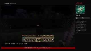 [PS4版マインクラフト]まったりマイクラ[画面酔い注意]