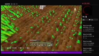 PS4［マインクラフト]まったり雑談ラジオ体操※画面固定多いです