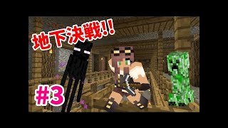 【マインクラフト】たまにはサバイバルでも遊んでみるよ　part3.5