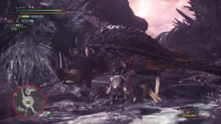 モンスターハンターワールド　ネルギガンテ討伐