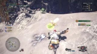 モンスターハンターワールド　レイギエナ　スラアク