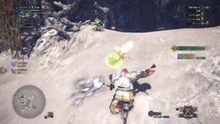 モンスターハンターワールド　レイギエナ　スラアク