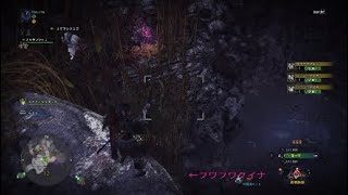 フワフワクイナ大量ゲット方法を解説！ モンスターハンターワールド！