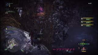 フワフワクイナ大量ゲット方法を解説！ モンスターハンターワールド！