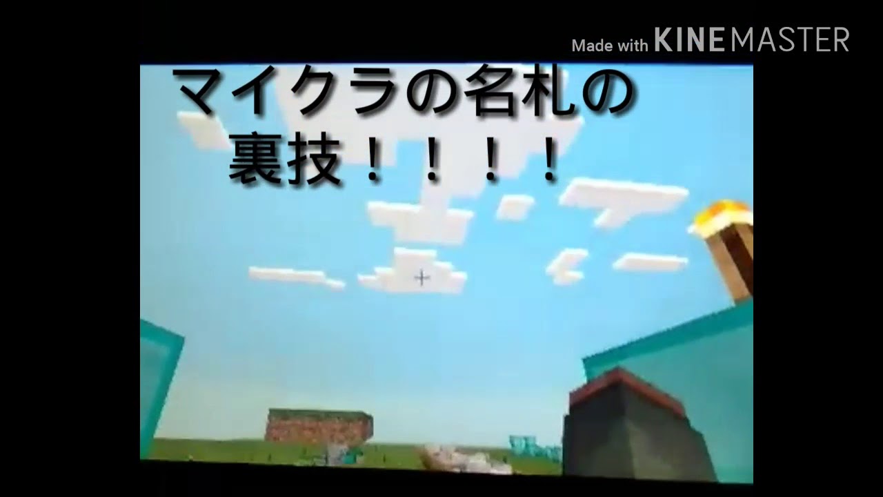 マインクラフト　3DSでも出来る名札の裏技