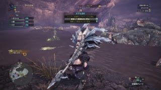 (声あり)モンスターハンターワールド