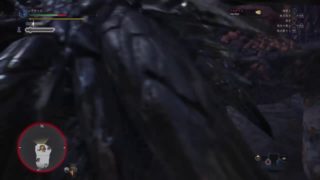 (声あり)モンスターハンターワールド