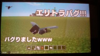 マインクラフト エリトラバグ!?
