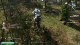 [PS4 Pro] 真三國無双8 司馬昭編［難易度　修羅］