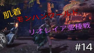 #14 肌着ハンマーでリオレイア亜種【モンスターハンターワールド】