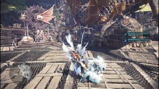 モンスターハンター：ワールド　　イビル特別任務やってみたw