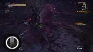 【MHW】オドガロンロデオ【モンスターハンター：ワールド】