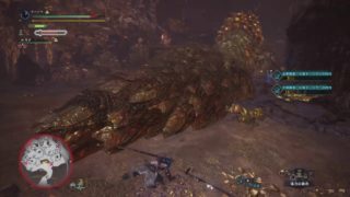 ［モンスターハンターワールド］特別調査マム・タロトを初見ソロで見学してみた！