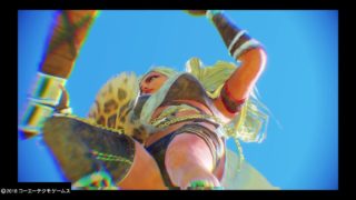 【新機能フォトモード】真・三國無双8 スケベカメラマンへの道【上級編】