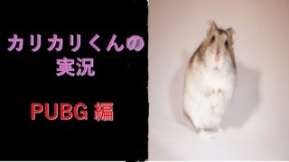 【PUBG 実況】練習【PUBG ライブ】【PLAYERUNKNOWN'S BATTLEGROUNDS】