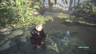 いずみのライブ「モンスターハンターワールド」＠片手剣　まったりソロハンター生活　金冠集めの沼は深い