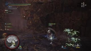 モンスターハンター：ワールド_20180424