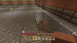 【マインクラフト】ちゅなかんの生放送【＃12】【初見さん歓迎】