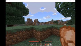 黒糖とらのマインクラフト