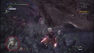 #27 どれかな【モンスターハンターワールド初見実況】