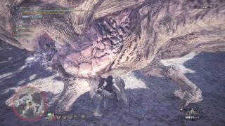 モンスターハンターワールド【生声】part１６