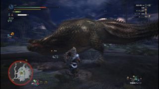 モンスターハンターワールド　イベント歴戦イビルジョー ソロ双剣　2018 04 07