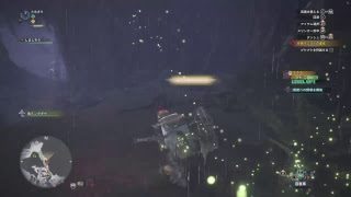 モンスターハンターワールド #1