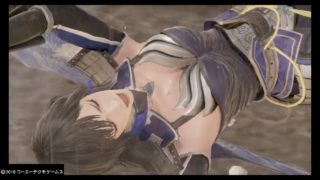 『リョナ』黄蓋にぐるぐる廻されてる、水濡れ【王異】（静止画）