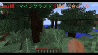 Java版マインクラフトを初めてやってみた！
