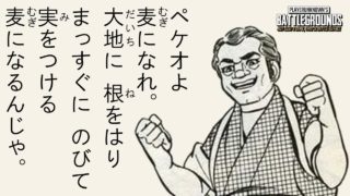 PUBG 実況 - ムギになって初ソロドン勝！【ペケオのドン勝食べてる途中でしょうが！#3】