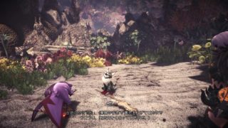モンスターハンター：ワールド_20180404134116
