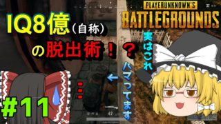 [PUBG] Blueholeの ブ ル ー ホ ー ル ＃11【ゆっくり実況】