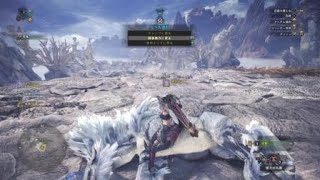 モンスターハンター：ワールド　ﾇｩ(´^`*)ハンター
