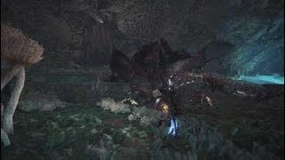 モンスターハンター：ワールド 並ハンおじさんのランランスゥーでヴァルハザク