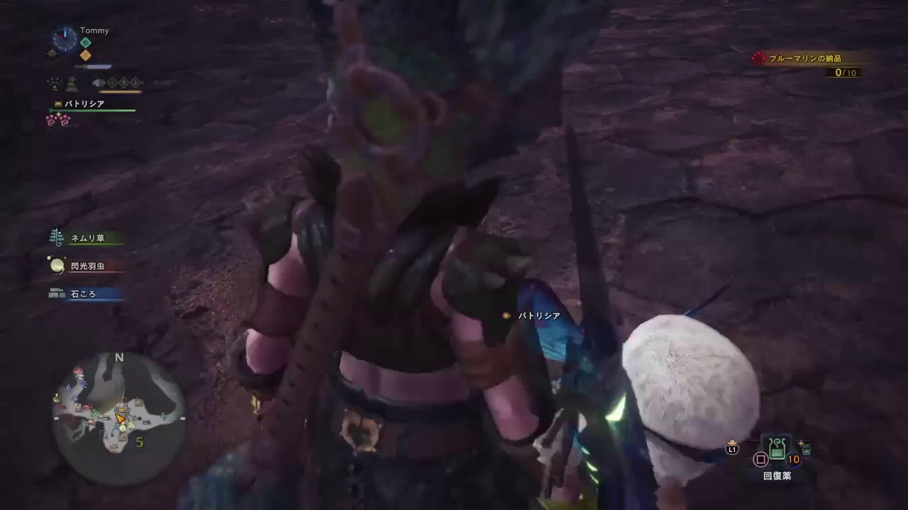 モンスターハンター：ワールド