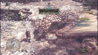 モンスターハンター：ワールド